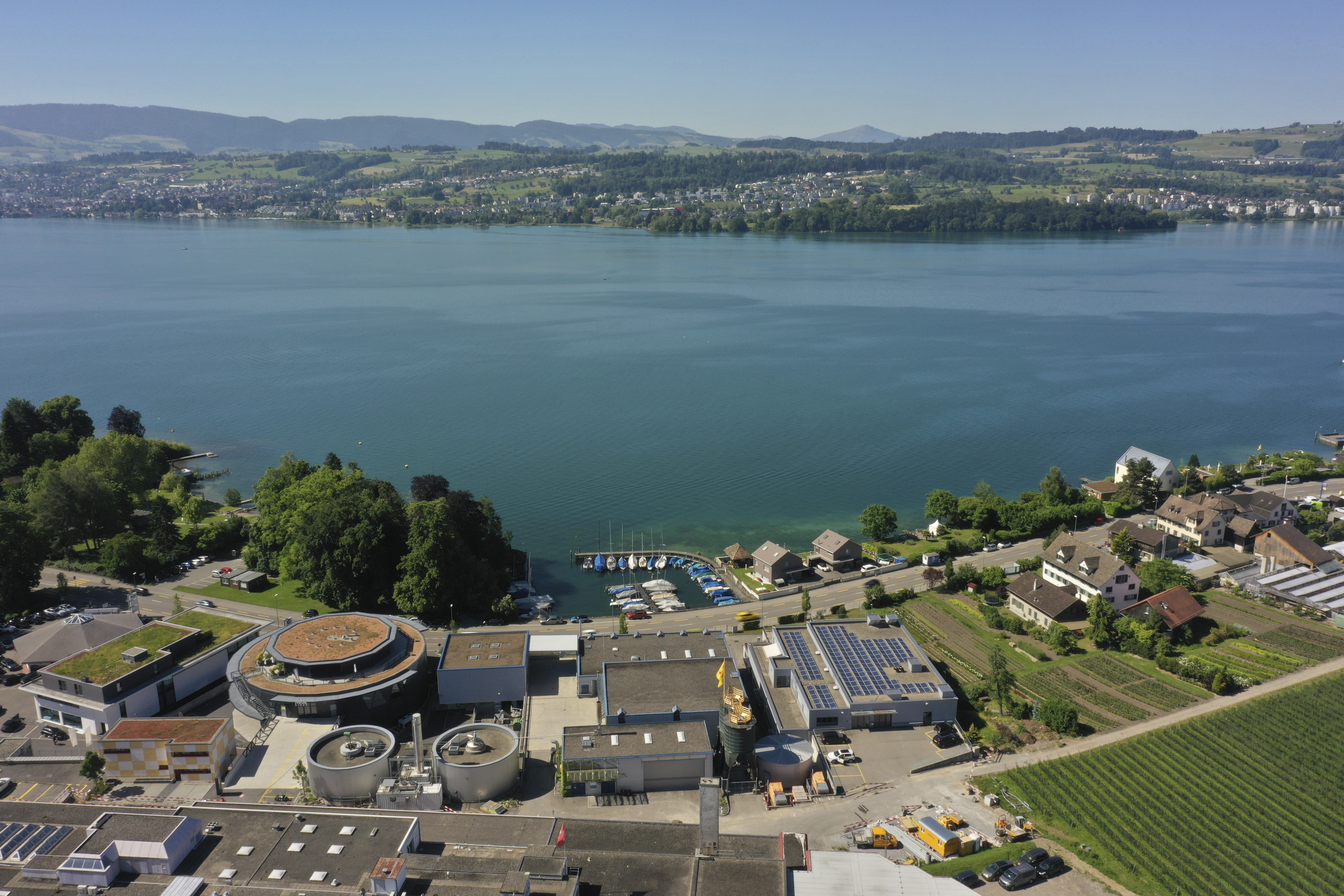 ARA Rorguet header image 1